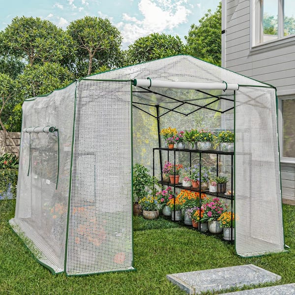 8 ft. x 11 ft. Walk-In Greenhouse Featuring Roll-Up Windows and Two 3-Tier Plant Shelvings