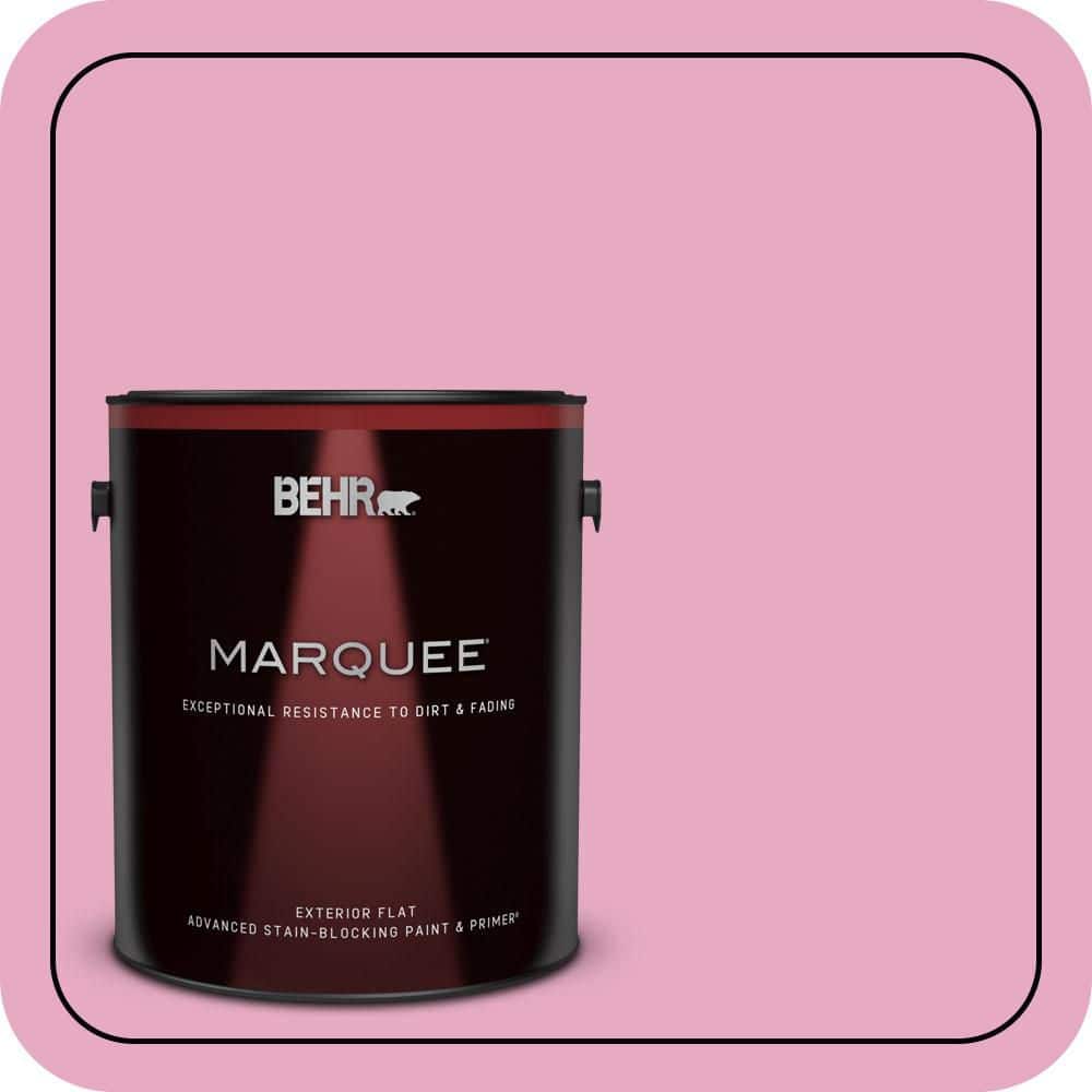 1 gal. #P130-3 Little Princess Flat Exterior Paint & Primer price history on PriceWatchPro