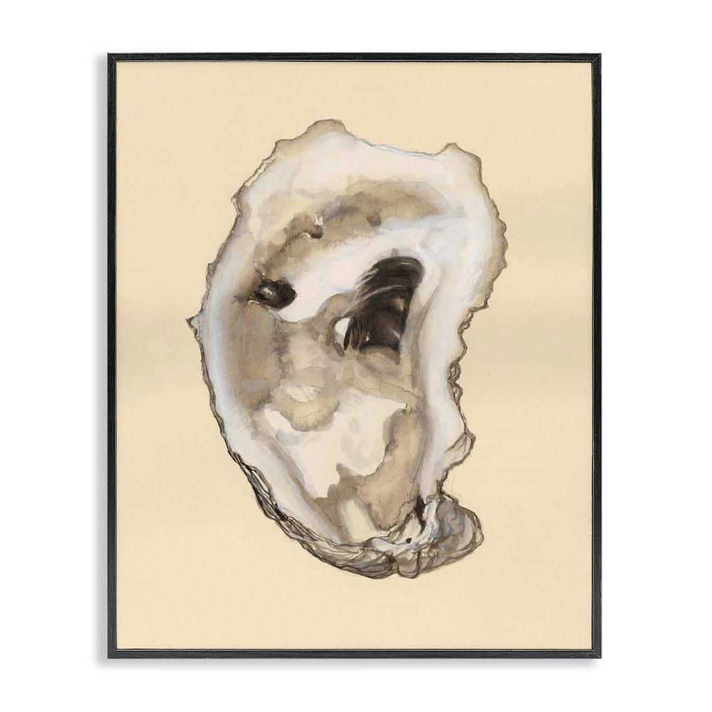 Natural Oyster Shell by Michael Willett Black Framed Coastal Giclee Art Print 20 in. x 16 in. price history on PriceWatchPro