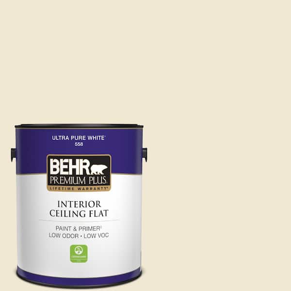 1 gal. #BWC-09 Atlantis Pearl Ceiling Flat Interior Paint