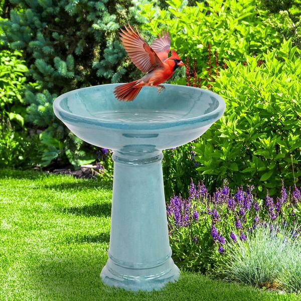 Who Sells Bird Baths near Me: Top Local Shops to Explore Today