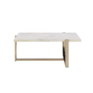 Feit 44 in. Champagne Finish Rectangle Faux Marble Coffee Table