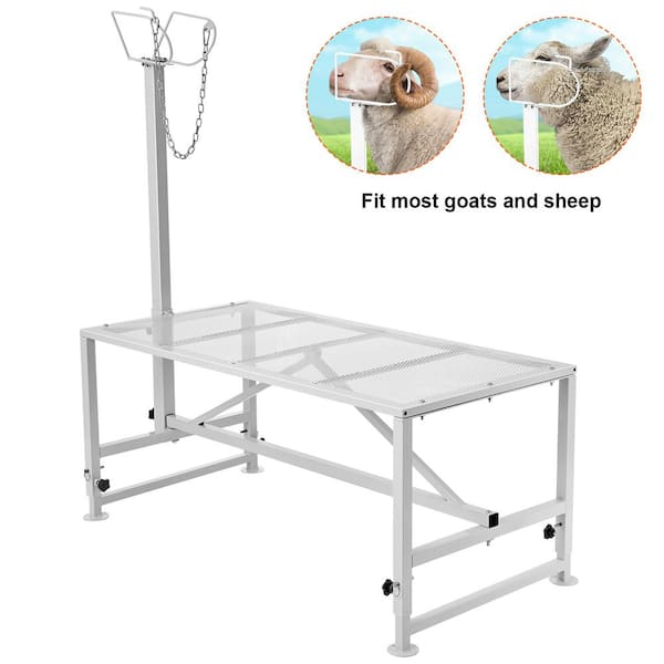 VEVOR 64.1 in. x 51 in. Stationary Goat & Sheep Stand 500 lbs Loading Weight White 21 to 33in. Adjustable Height Grinder Stand
