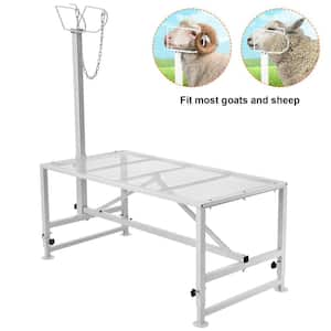 64.1 in. x 51 in. Stationary Goat & Sheep Stand 500 lbs Loading Weight White 21 to 33in. Adjustable Height Grinder Stand