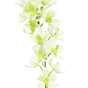 30 in. Cream Green Artificial Vanda Orchid Singapore Flower Stem Tropical Spray (Set of 3)