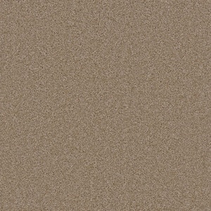 Added Value - Pamper - Beige 24 oz. SD Polyester Texture Installed Carpet