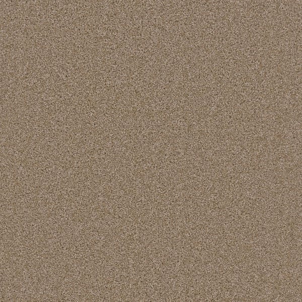 TrafficMaster Added Value - Pamper - Beige 24 oz. SD Polyester Texture Installed Carpet