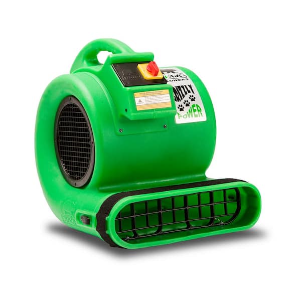 B-Air 1 HP Air Mover for Water Damage Restoration Carpet Dryer Floor Blower Fan, Green