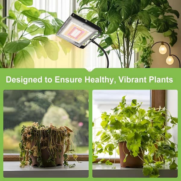 BeamBox 96-LED Full Spectrum Plant Grow Light with Adjustable