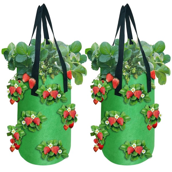 Agfabric 7.8 in. Dia x 13.8 in. H 3 Gal. Green Fabric Mount Planter Plant Hanging Strawberry Grow Bag Planter Grow Bag (2-Pack)