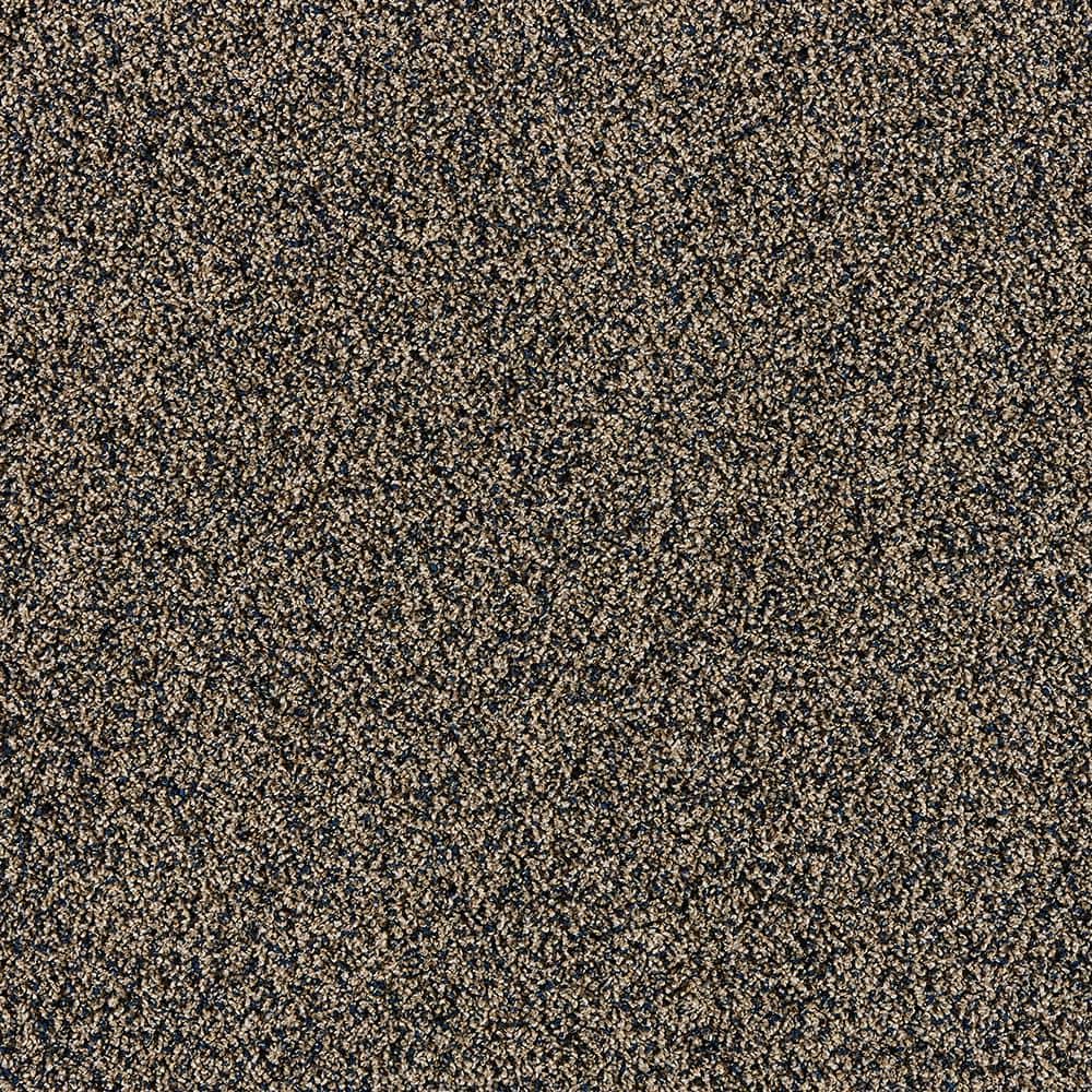 8 in. x 8 in. Texture Carpet Sample - Radiant Retreat II - Color Ocean Breeze price history on PriceWatchPro