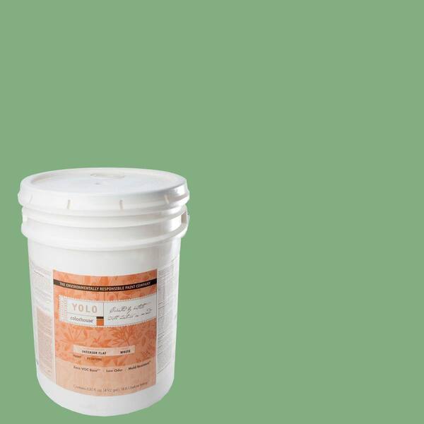 YOLO Colorhouse 5-gal. Thrive .05 Flat Interior Paint-DISCONTINUED