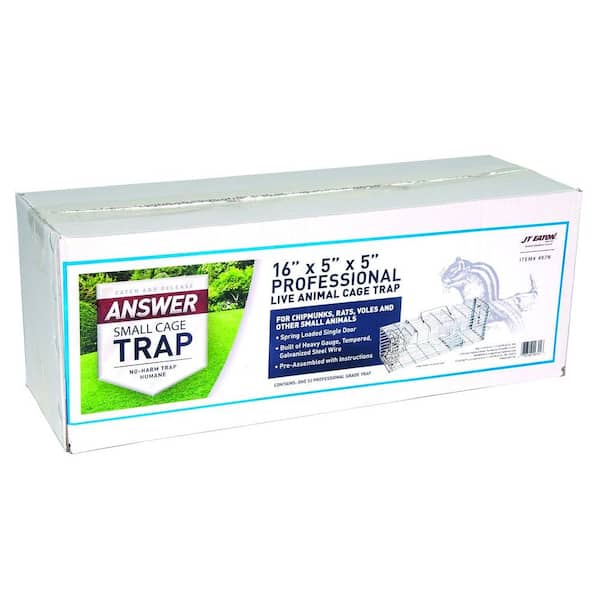 This Hybrid Mouse Trap Is One Of The Best Mouse Traps Ever Made - 33 Mice  Caught -Mousetrap Monday 