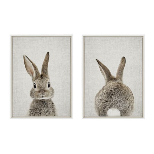 Kate and Laurel Bunny Portrait and Bunny Tail on Linen by Amy Peterson Framed Animal Canvas Wall Art Print 24 in. x 18 in. (Set of 2)