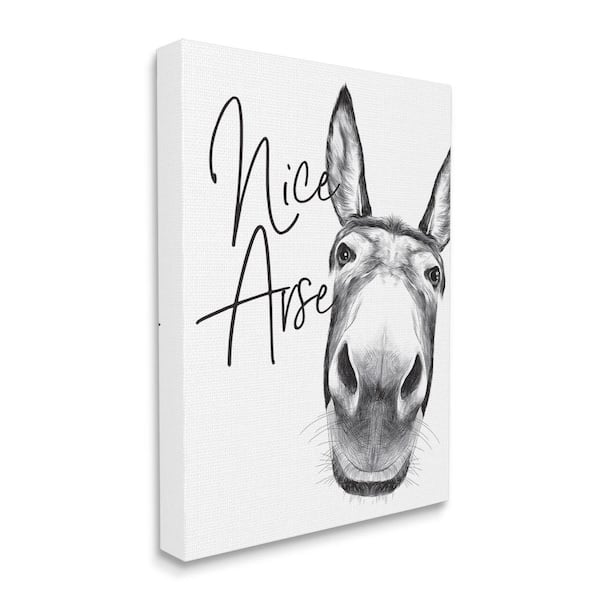 Stupell Industries "Animal Humor Arse Donkey Bathroom Phrase" by Lettered and Lined Unframed Animal Canvas Wall Art Print 16 in. x 20 in.