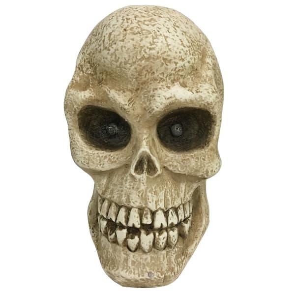 Home Accents Holiday 10 in. Halloween Led Lighted Skull