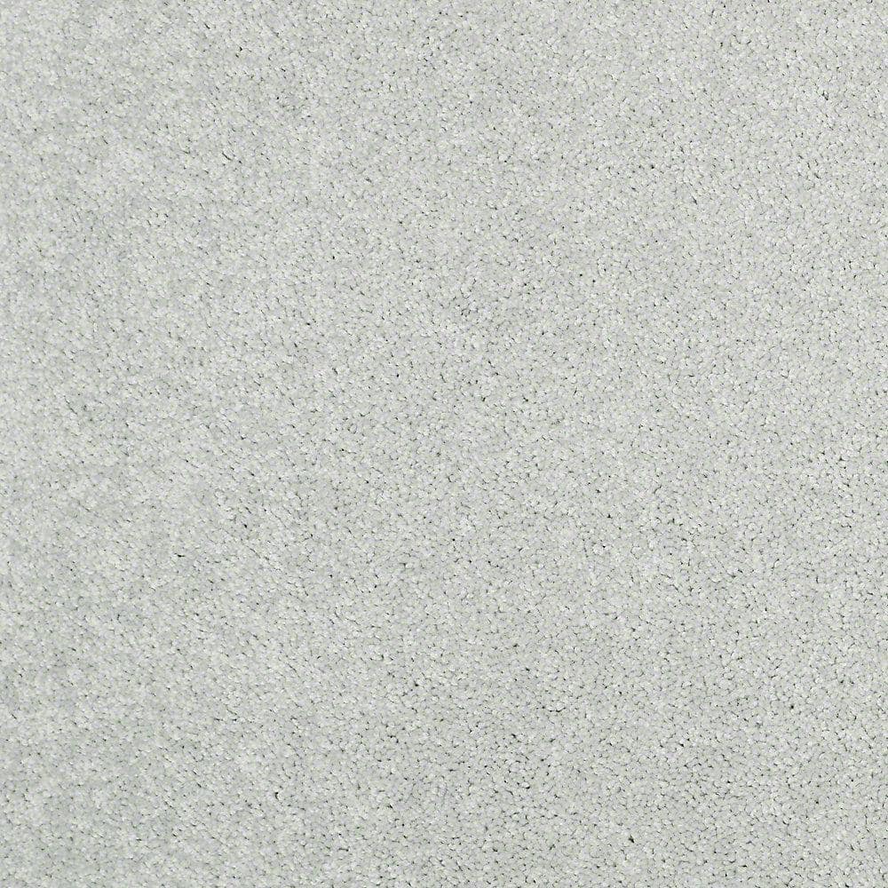 8 in. x 8 in. Texture Carpet Sample - Watercolors I - Color Chrome price history on PriceWatchPro