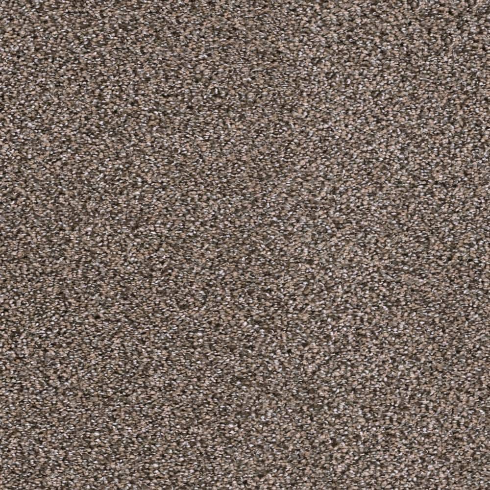 8 in. x  8 in. Texture Carpet Sample - Affectionate I -Color Genuine price history on PriceWatchPro