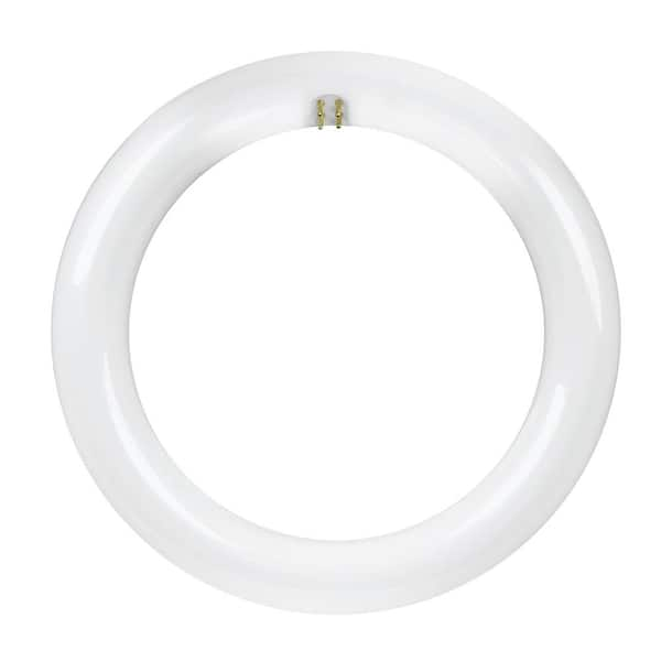 Photo 1 of 15-Watt 8 in. T9 G10q Type A Plug and Play Linear Circline LED Tube Light Bulb, Daylight Deluxe 6500K