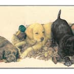 Falkirk Brin Dogs, Puppies, Ducks Brown, Beige, Black, Yellow Wallpaper Border