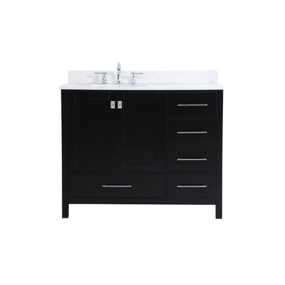 Simply Living 42 in. W x 22 in. D x 34 in. H Bath Vanity in Black with Cala