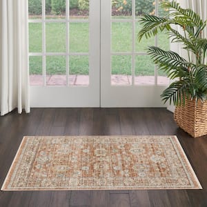 Oases Terracotta 3 ft. x 5 ft. Distressed Traditional Area Rug
