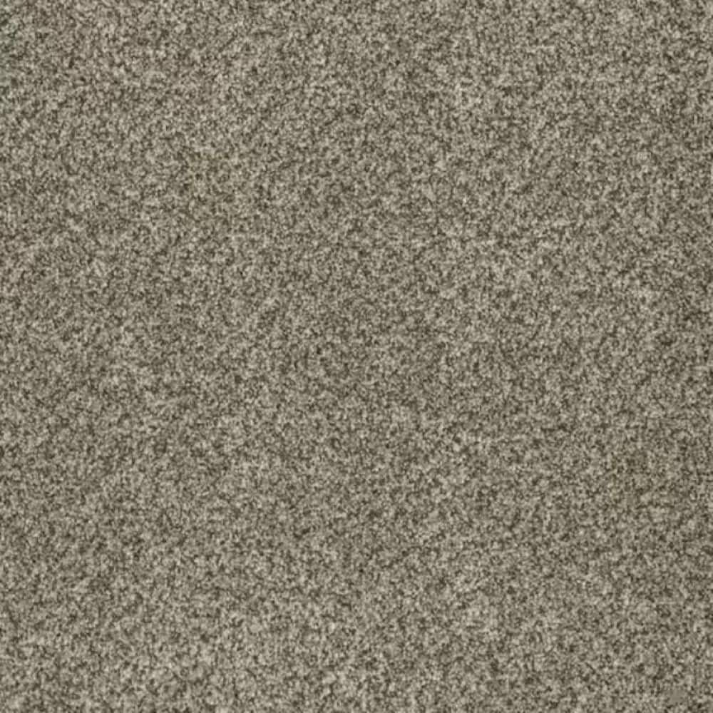 8 in. x 8 in. Texture Carpet Sample-Trestle I-Color Ferry price history on PriceWatchPro