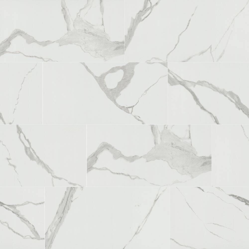 Ader Tegal 12 in. x 24 in. Polished Porcelain Marble Look Floor and Wall Tile(448 Sq.ft / Pallet) price history on PriceWatchPro