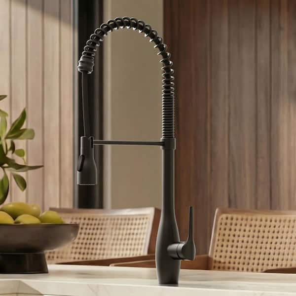 GRANDJOY 23.7 in. H 2-Spray 360° Spout Swivel Single-​Handle Pull