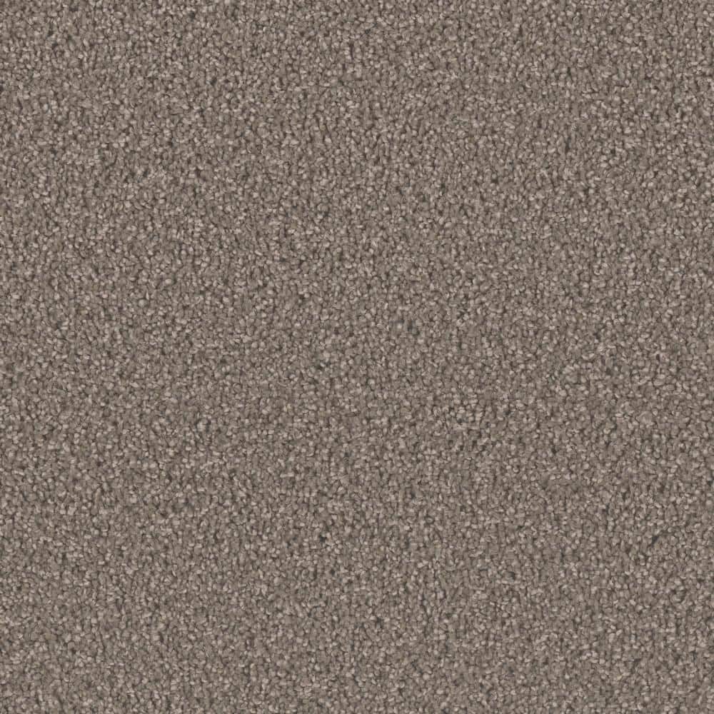 8 in. x  8 in. Texture Carpet Sample - Delicate Flower -Color Flourish price history on PriceWatchPro