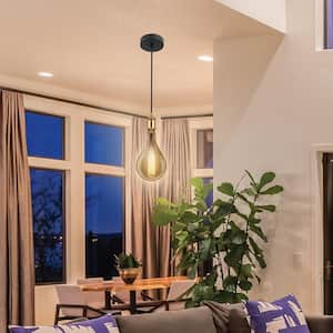 4-Light Brass Hardwire Pendant Fixture W/ PS52 Dimmable Oversized Amber Glass E26 Vintage Edison Incandescent Light Bulb