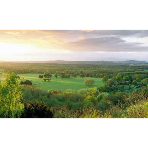 Biggies Valley View - Weather Proof Scene for Window Wells or Wall Mural - 100 in. x 60 in.