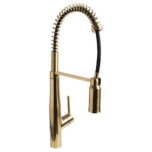Neo Single-Handle Spring Pull-Down Sprayer Kitchen Faucet in Brushed Brass