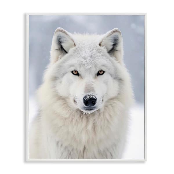White Wolf in Snow by Ray Powers White Framed Giclee Art Print Animal 16 in. x 20 in.