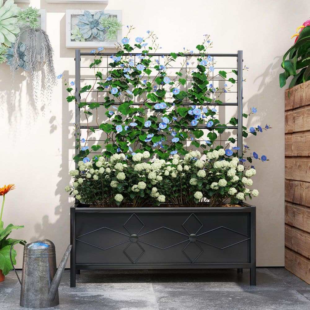 Black Galvanized Steel Raised Garden Bed with Trellis