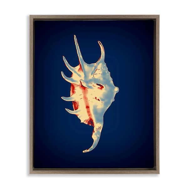 Stupell Industries Spider Conch on Blue by Graffi tee Studios Brown Floater Frame Coastal Graphic Art Print 21 in. x 17 in.