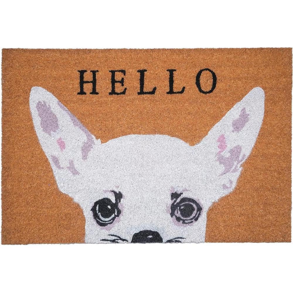 Multi-Colored 36 in. x 24 in. Coir Non-Slip Indoor/Outdoor Door Mat price history on PriceWatchPro