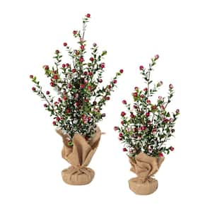 20 in. and 16 in. Artificial Boxwood and Berry Christmas Tree Set of 2