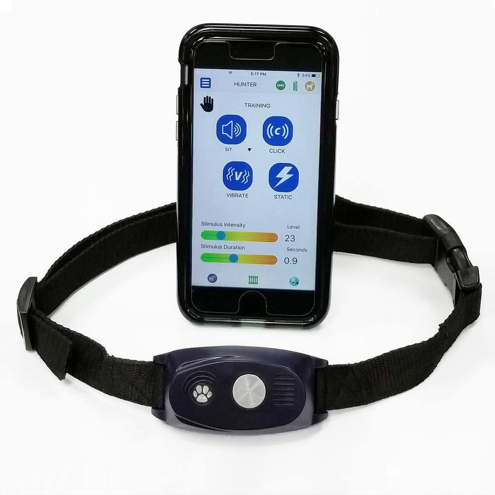 bark shock collar with remote