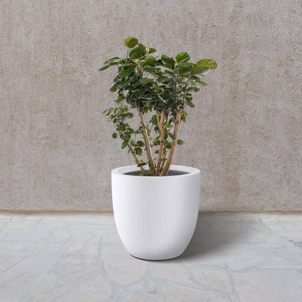 14 Inch White Concrete Round Indoor/Outdoor Planter