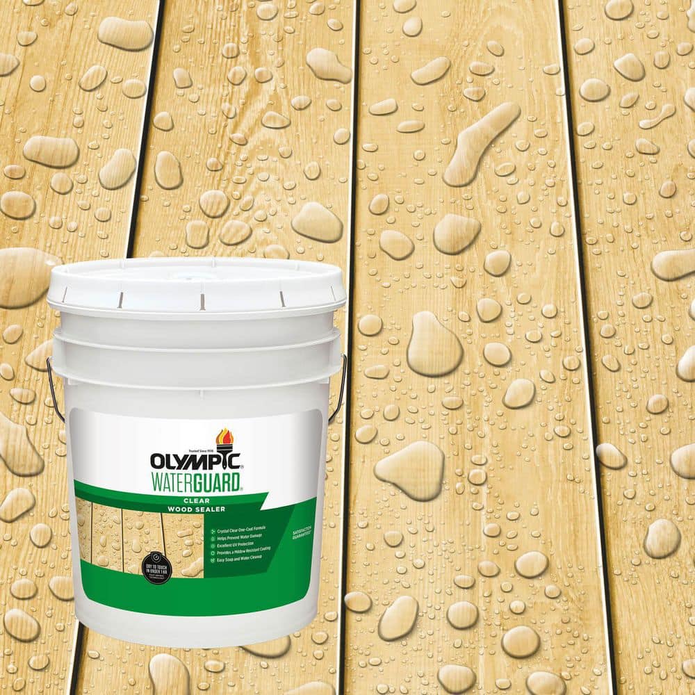 WaterGuard 5 gal. Clear Exterior Waterproofing Wood Sealer price history on PriceWatchPro
