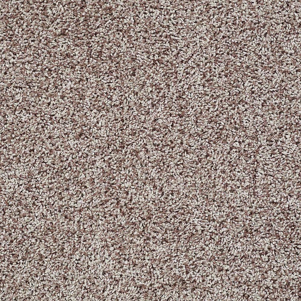 8 in. x 8 in. Twist Carpet Sample - Charming - Color Graham Cracker price history on PriceWatchPro