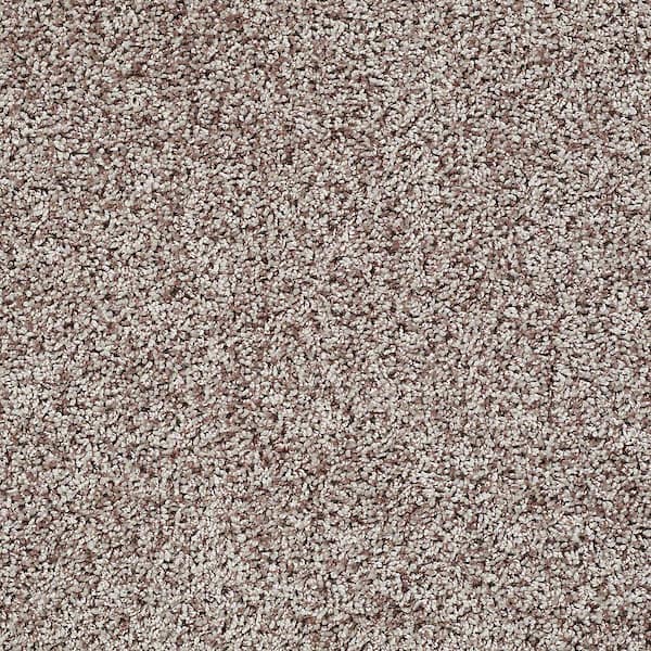TrafficMaster Charming - Graham Cracker - Brown 24 oz. Polyester Twist Installed Carpet
