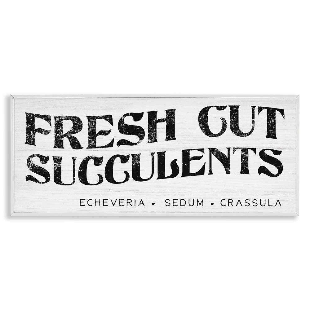 Fresh Cut Succulents Antique Grainy Sign by Daphne Polselli White Framed Typography Graphic Art Print 10 in. x 24 in. price history on PriceWatchPro
