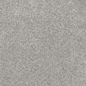 Affectionate II - Welcoming - Gray 55 oz. SD Polyester Texture Installed Carpet