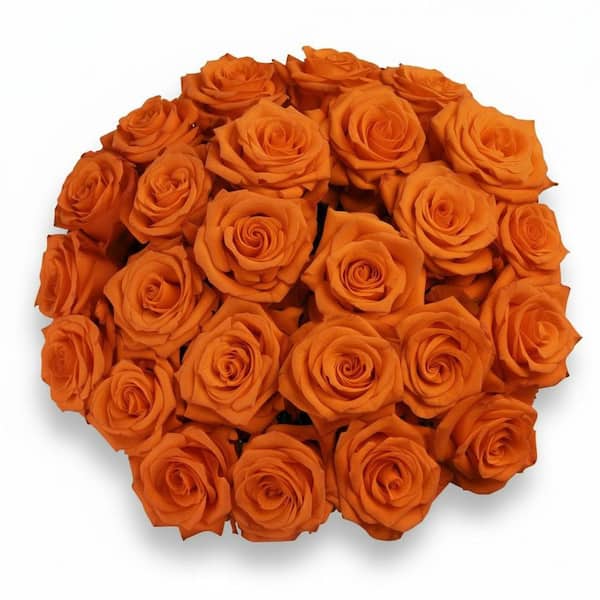 25-Stem Orange Roses with Glass Vase-Fresh Cut Rose Arrangement