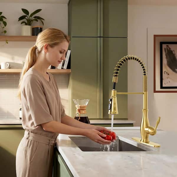 Akicon Brushed Gold 18.12 in. H Single-Handle Pull-Down Sprayer Kitchen Faucet with 360° Spout Swivel