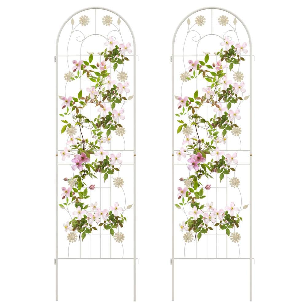 71 in. x 20 in. White Metal Arch Garden Trellis Decorative for Climbing Pla