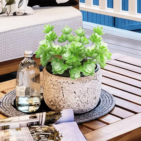 LIVING LUXURY 12 in. Frosted Light Green Echeveria Lotus Artificial Succulent Stem Plant Greenery Pick Bush (Set of 2)