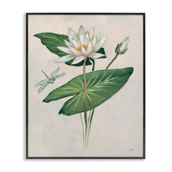 Graceful Lily Pad by Julia Purinton Black Framed Nature Giclee Art Print 14 in. x 11 in.